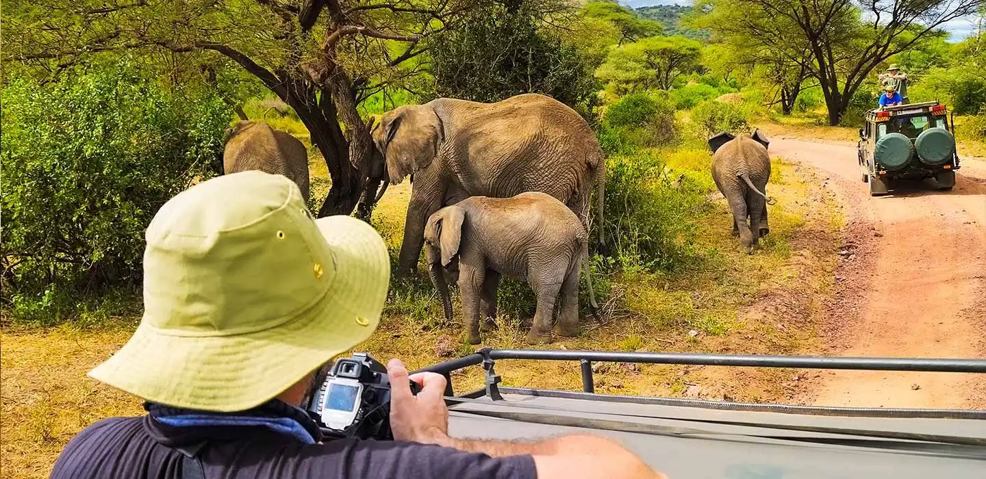 Lake Manyara National Park Guide